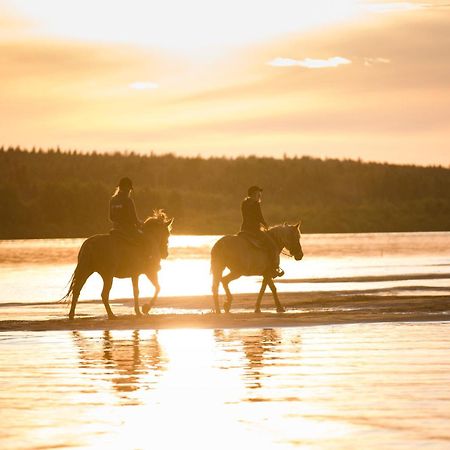 Arctic Light Hotel Рованиеми Экстерьер фото